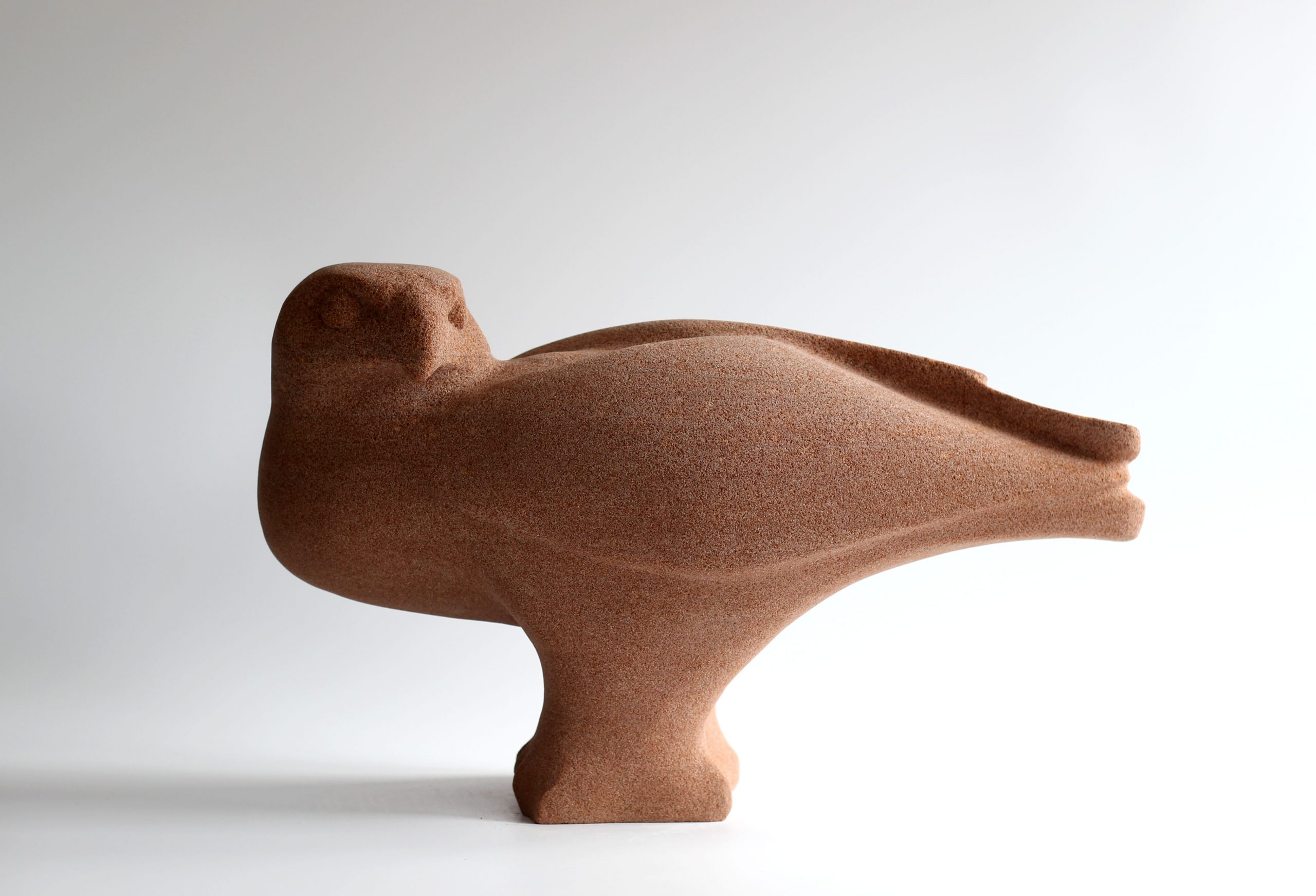 Buzzard by Jennifer Tetlow