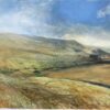 Cool Summer Days on the Moor