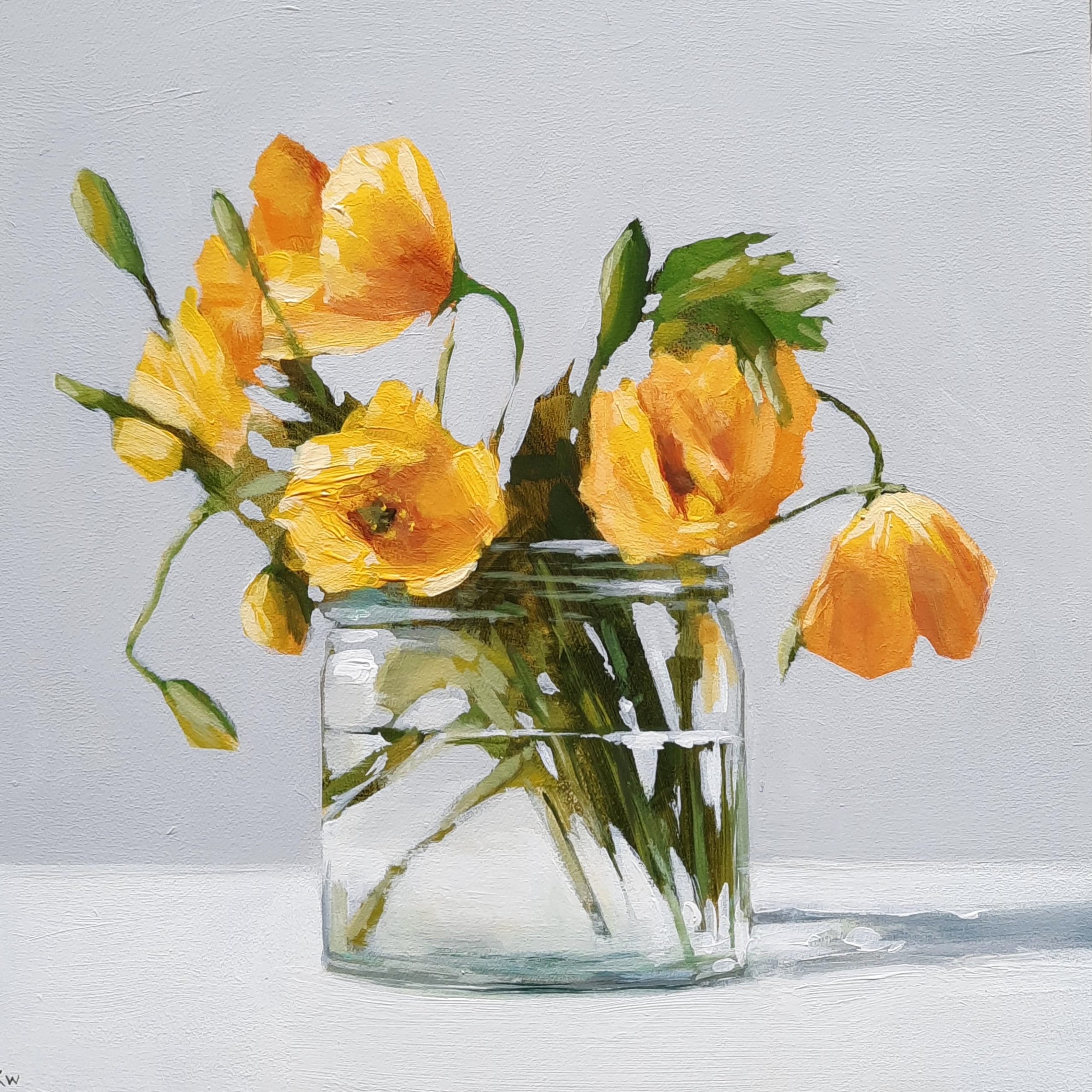 Welsh Poppies