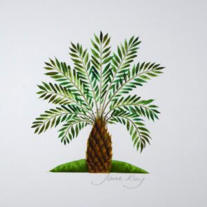 Palm Tree