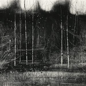 Dark Trees and Birch II