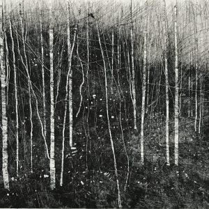 Falling Leaves 1V Monoprint David A Parfitt RI