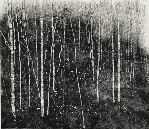 Falling Leaves 1V Monoprint David A Parfitt RI