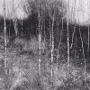 Hillside III