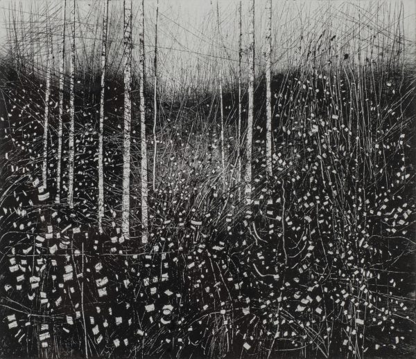 Sun and Leaves IV by David A Parfitt RI