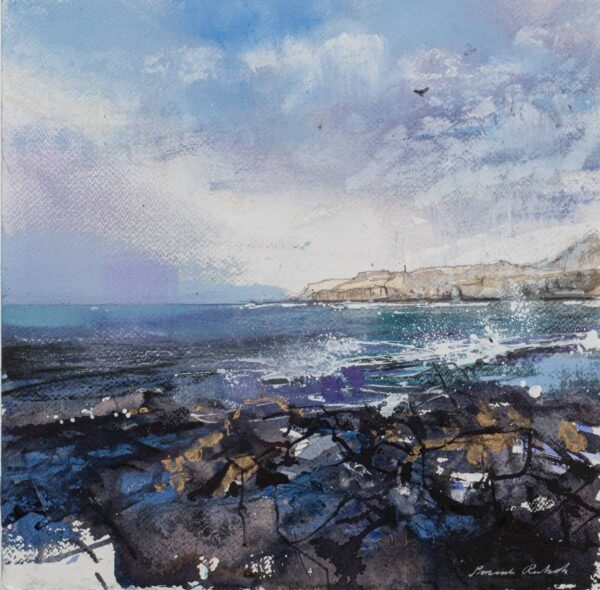 Coastline Mull